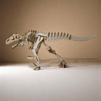 Squelette de Dinosaure CREAFAMAX